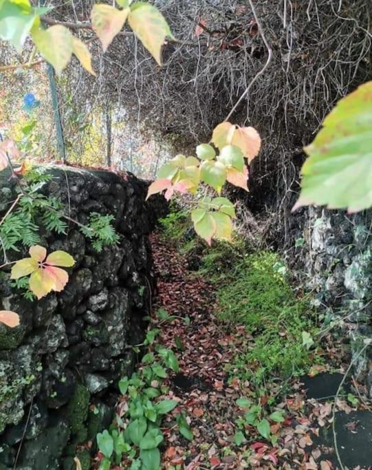 Casa Ultreia, Appartamento Aci Castello Eksteriør bilde